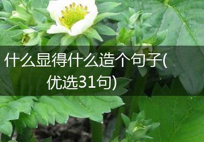 什么显得什么造个句子(优选31句)