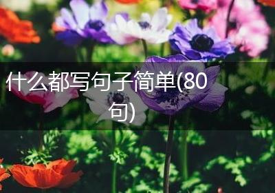什么都写句子简单(80句)