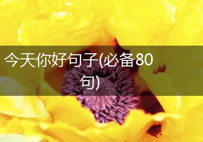 今天你好句子(必备80句)