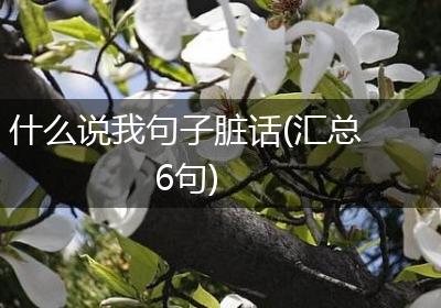 什么说我句子脏话(汇总6句)