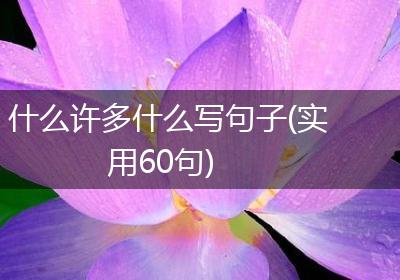 什么许多什么写句子(实用60句)