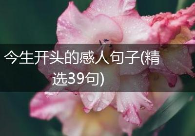 今生开头的感人句子(精选39句)