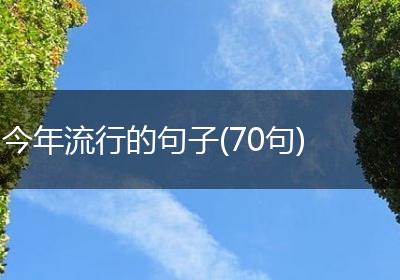 今年流行的句子(70句)