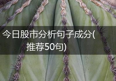 今日股市分析句子成分(推荐50句)