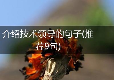 介绍技术领导的句子(推荐9句)