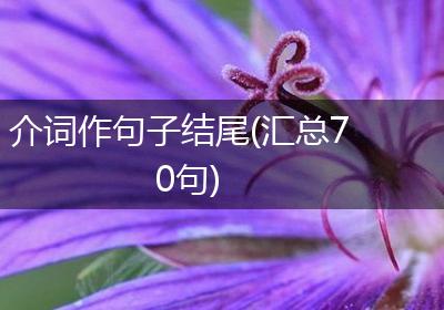 介词作句子结尾(汇总70句)