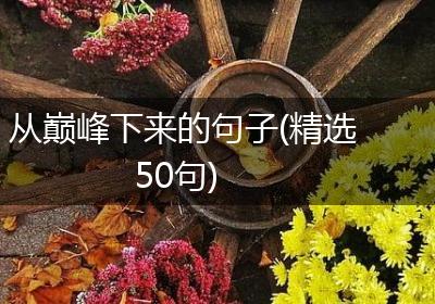从巅峰下来的句子(精选50句)