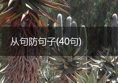 从句防句子(40句)