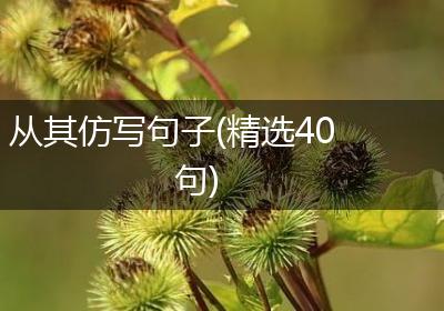 从其仿写句子(精选40句)