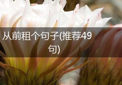 从前租个句子(推荐49句)