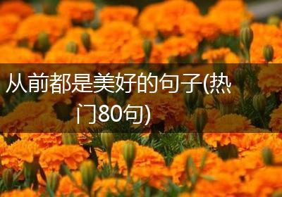从前都是美好的句子(热门80句)