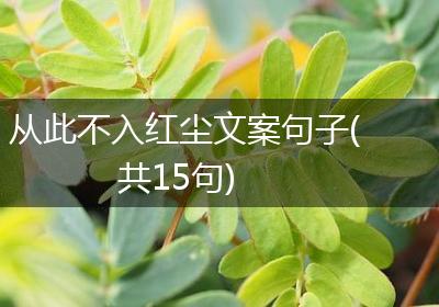从此不入红尘文案句子(共15句)