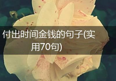 付出时间金钱的句子(实用70句)