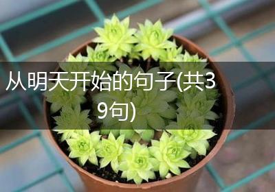 从明天开始的句子(共39句)