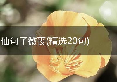 仙句子微丧(精选20句)