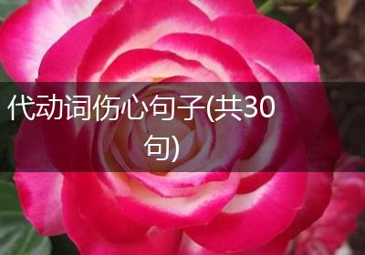 代动词伤心句子(共30句)