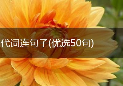 代词连句子(优选50句)