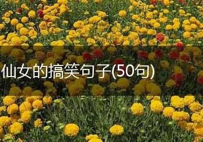 仙女的搞笑句子(50句)