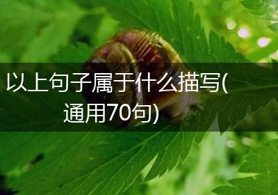 以上句子属于什么描写(通用70句)