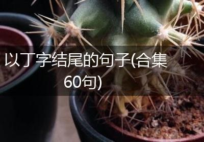 以丁字结尾的句子(合集60句)