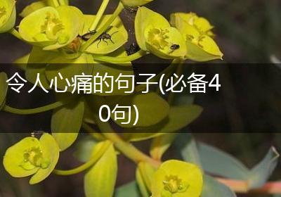 令人心痛的句子(必备40句)
