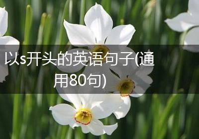 以s开头的英语句子(通用80句)