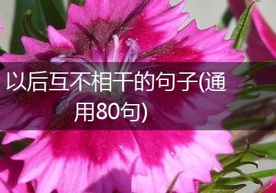 以后互不相干的句子(通用80句)
