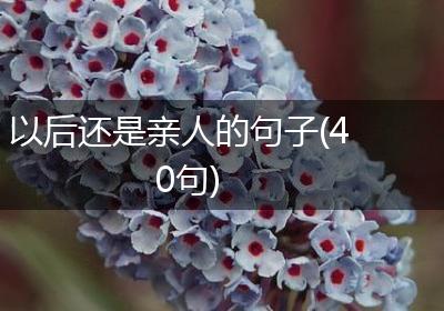 以后还是亲人的句子(40句)