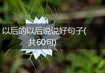 以后的以后说说好句子(共60句)