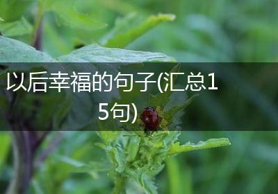 以后幸福的句子(汇总15句)