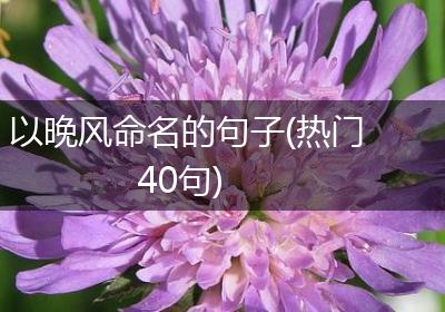 以晚风命名的句子(热门40句)