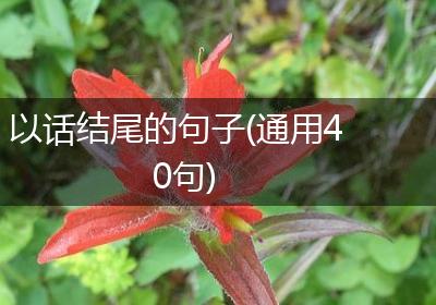 以话结尾的句子(通用40句)