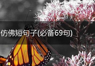 仿佛短句子(必备69句)