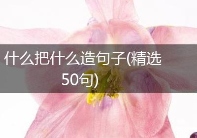 什么把什么造句子(精选50句)