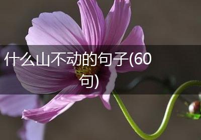 什么山不动的句子(60句)