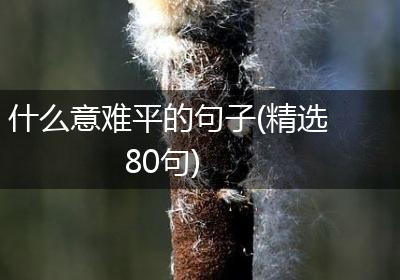 什么意难平的句子(精选80句)