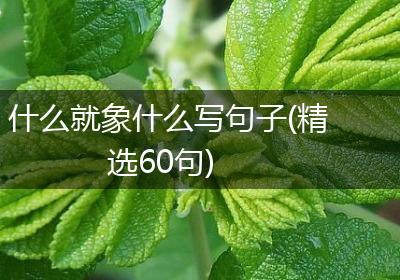 什么就象什么写句子(精选60句)