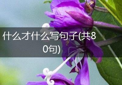 什么才什么写句子(共80句)