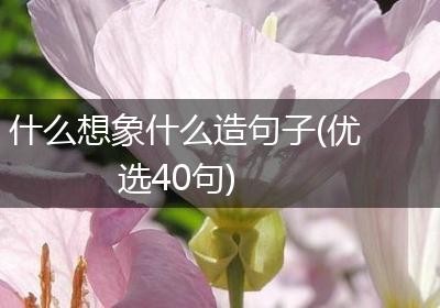 什么想象什么造句子(优选40句)