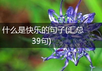 什么是快乐的句子(汇总39句)