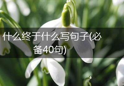什么终于什么写句子(必备40句)