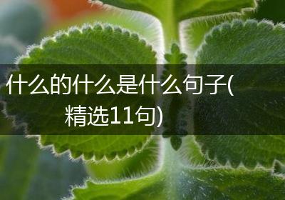 什么的什么是什么句子(精选11句)