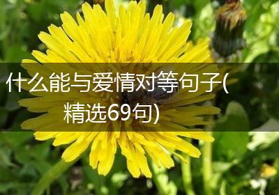 什么能与爱情对等句子(精选69句)