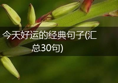 今天好运的经典句子(汇总30句)