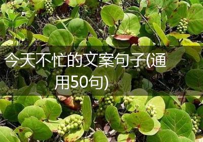 今天不忙的文案句子(通用50句)