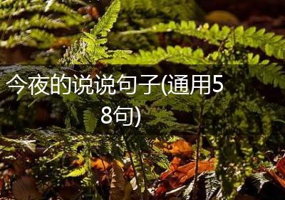 今夜的说说句子(通用58句)