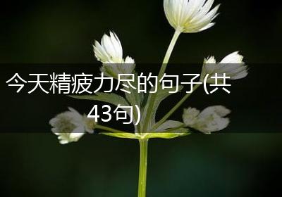 今天精疲力尽的句子(共43句)