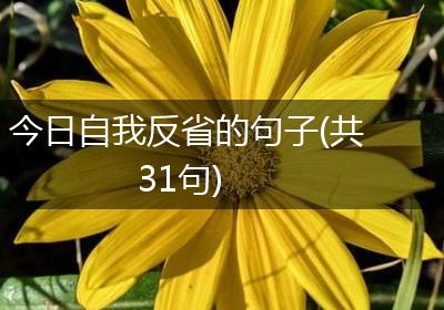 今日自我反省的句子(共31句)