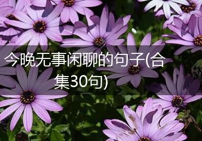 今晚无事闲聊的句子(合集30句)