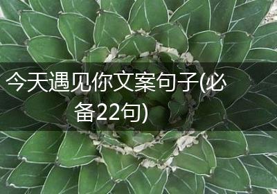 今天遇见你文案句子(必备22句)